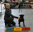 Exp Inter Agen Legendstaff Duchess Scarlett