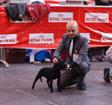 Exp Inter Zaragoza 2012 Legendstaff Gossip Girl