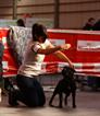 Exp Inter Zaragoza 2012 Legendstaff Lady of Darkness