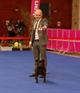 Exp Internacional Oporto Winner 2012 Blade de El Doradostaff
