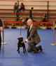 Exp Internacional Oporto Winner 2012 Legendstaff Duchess Scarlett