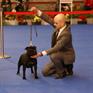 Exp Internacional Oporto Winner 2012 Legendstaff LAdy of Darkness