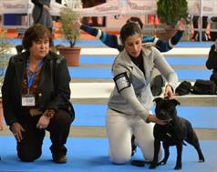 Exp Nacional Valladolid 2012 Legendstaff Lady of Darkness