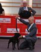 Exp Nacional Zaragoza 2012 Legendstaff Duchess Scarlett