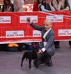 Exp Nacional Zaragoza 2012 Legendstaff Gossip Girl