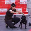 Exp Nacional Zaragoza 2012 Legendstaff Lady of Darkness